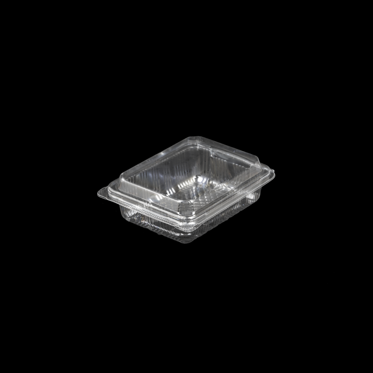 DURABLE PLASTIC RECTANGULAR HINGED CONTAINER 1200 PCS $0.175 ea.| BOX-OPS-SSC-64